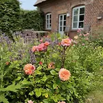 Apartment Kutscherremise Gut Niendorf - Abc592 - Nur Feriengäste!